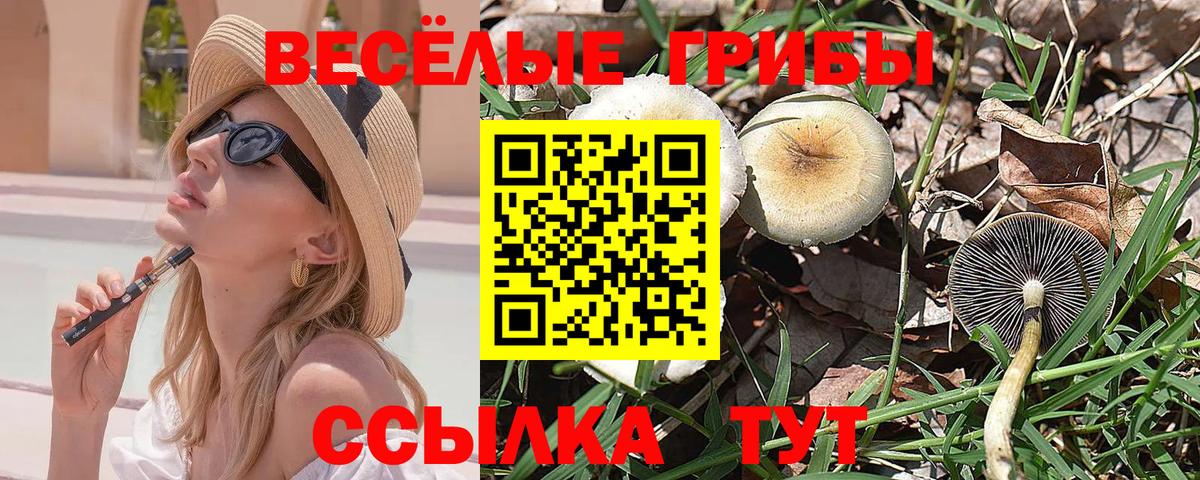 Псилоцибиновые грибы мицелий  Вход с VPN  Псилоцибиновые грибы мицелий  Вичуга 