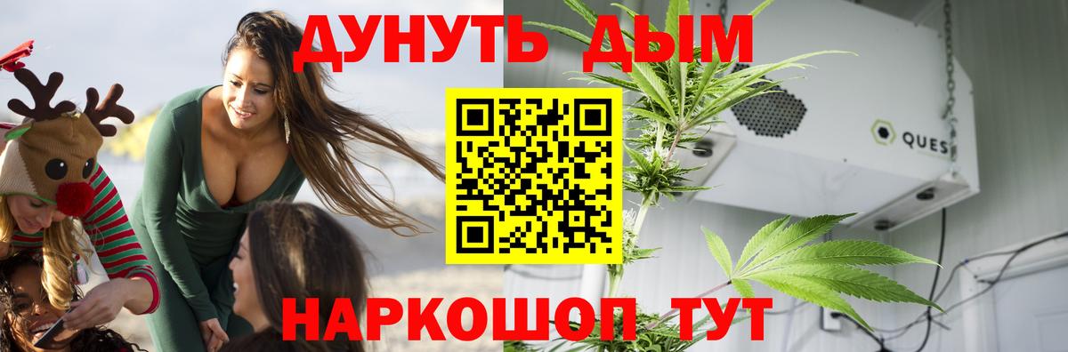 Вичуга  Каннабис тримм  Вход с VPN  Шишки марихуана THC 21%  Конопля Amnesia 
